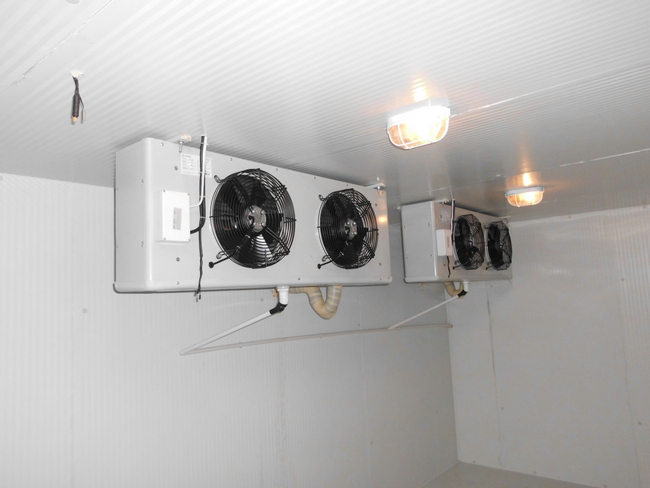 食品保鲜库建造-保鲜品