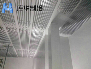 速冻禽肉海产品冷冻库实景