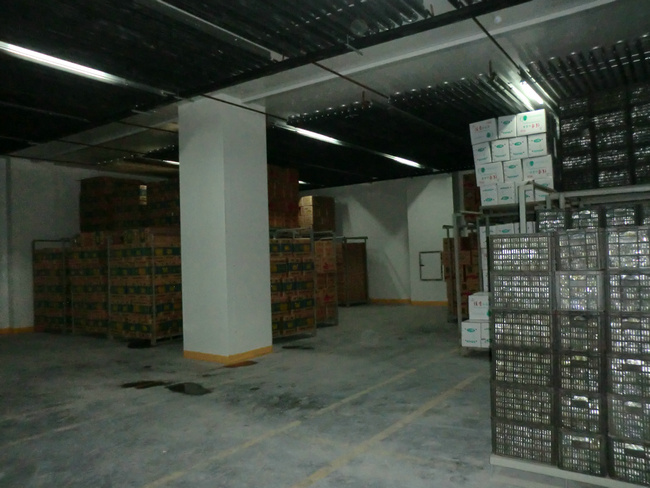 景德镇果蔬保鲜冷库安装公司推荐