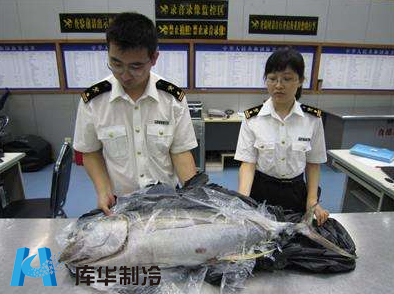 水产品冷库建造