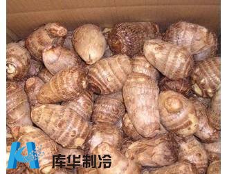 提高农产品收益芋头保鲜冷库建造