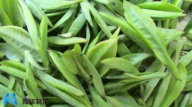 杭州安装35吨茶叶冷库推荐