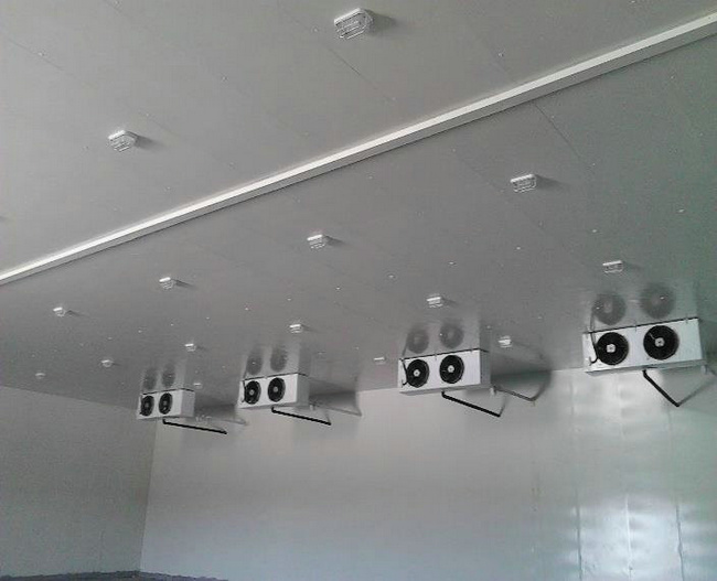 海鲜冷库建造