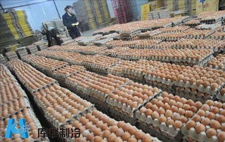 鸡蛋冷库建造