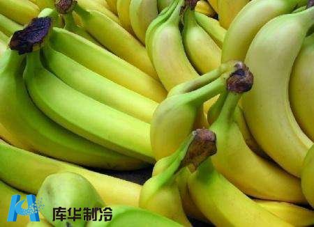 杭州地区安装10吨香蕉保鲜冷库工程推荐