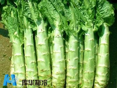 杭州地区建造20吨莴笋保鲜冷库工程