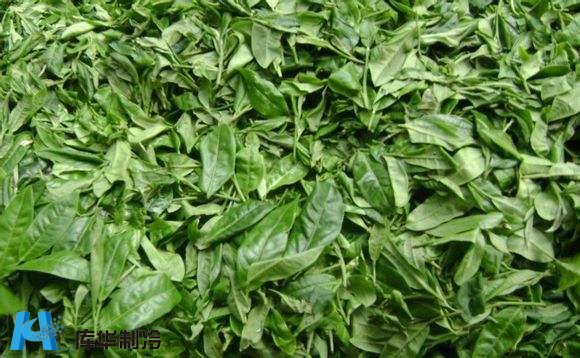 茶叶冷库建造注意事项