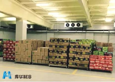 冷库建造:50平方水果蔬菜冷库可以放多少吨货