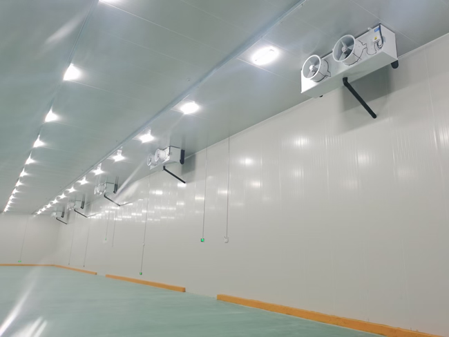 低温冷库设计建造要求